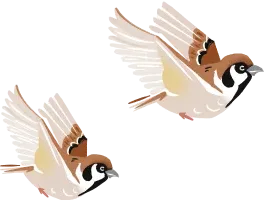 すずめ