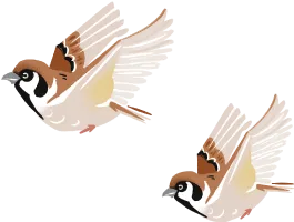 すずめ