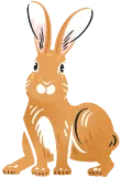 うさぎ