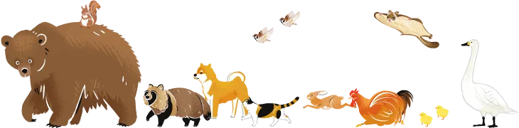 動物行進